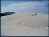 panorama dune